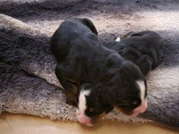 New Arrivals!